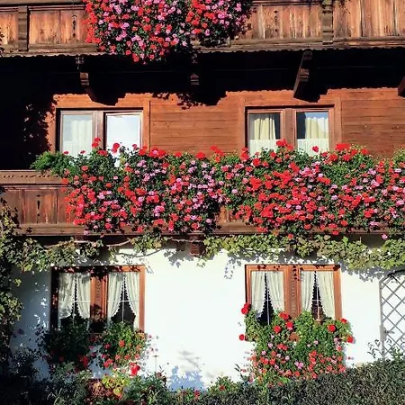 Apartament Ferienwohnung Johanna Reith im Alpbachtal