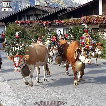 Ferienwohnung Johanna * Reith im Alpbachtal